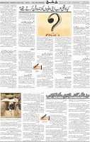 Page 05
