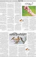 Page 05