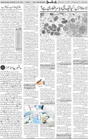 Page 04