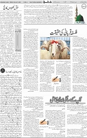 Page 04