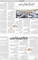 Page 05