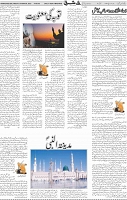 Page 05 (34)
