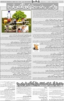 Page 05 (48)