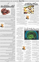 Page 05