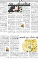 Page 05 (4)