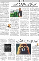 Page 05 (24)