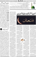 Page 04 (13)