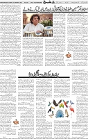 Page 05