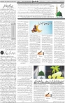 Page 04
