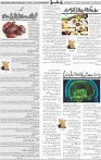 Page 05