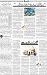 Page 04 (8)